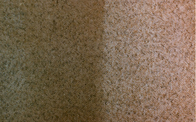 Carpet Cleaning Before After